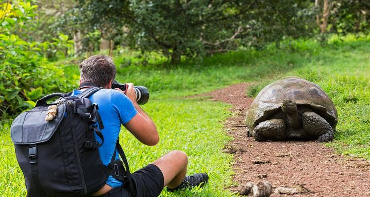 Galapagos at a Glance: Southern Islands (Grand Daphne) - Intrepid Travel 9
