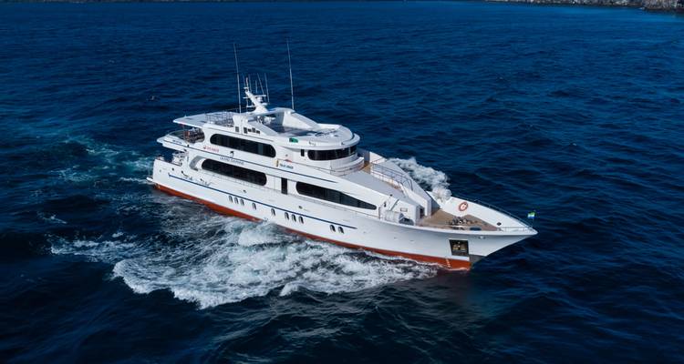 Cruiseschip dat navigeert door uitgestrekte oceaanwateren