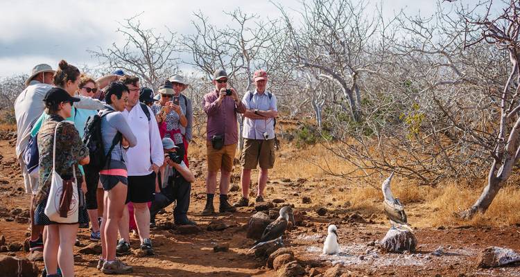 Aventura en las Galápagos: islas del norte - Gran Dafne - Intrepid Travel 3