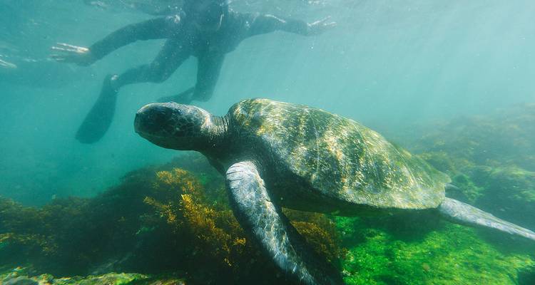 Ultimate Galapagos : Central Islands - Grand Daphne - Intrepid Travel 3