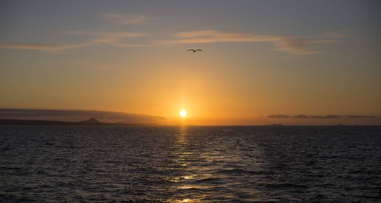 Galápagos Island Hopping Land-Only (4 destinations) - G Adventures 4