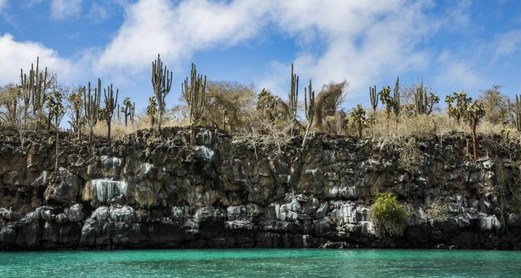Galápagos Island Hopping Land-Only (4 destinations) - G Adventures 6