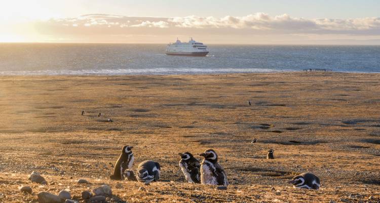 Patagonian Explorer (4 Nights) - Australis 1