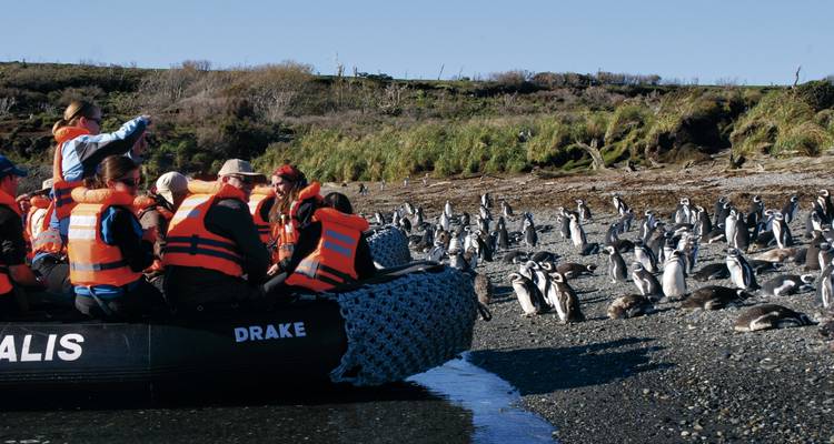 La route de Darwin depuis Punta Arenas - 8 nuits - Australis 10