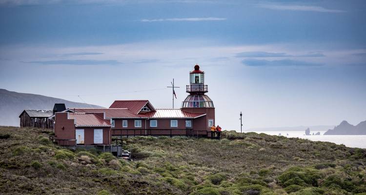 La route de Darwin depuis Punta Arenas - 8 nuits - Australis 2
