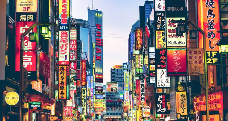 Japan Unrivalled - Contiki 3