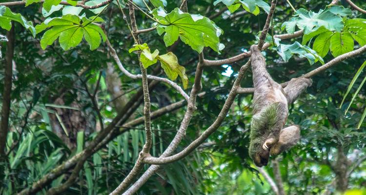 Experiencia en Costa Rica (8 destinations) - Intrepid Travel 6