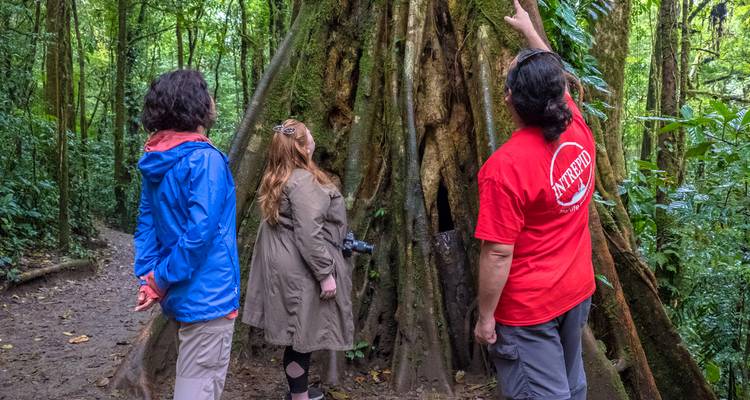 Experiencia en Costa Rica (8 destinations) - Intrepid Travel 8