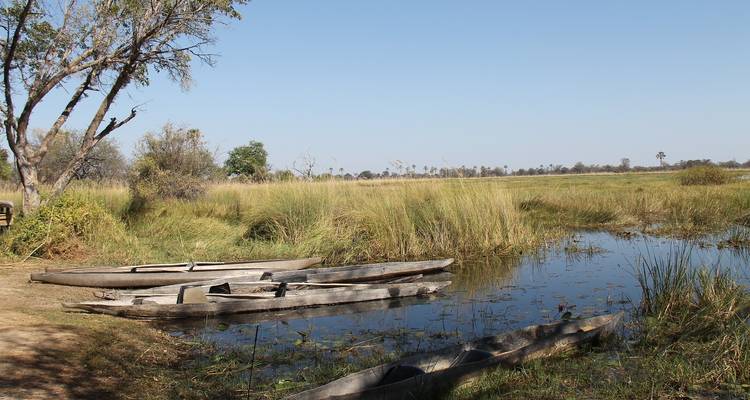 Des canoës qui reposent près d'un cours d'eau calme entouré de hautes herbes.