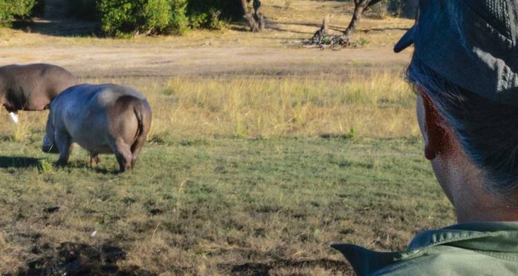 Botswana Adventure - Intrepid Travel 6