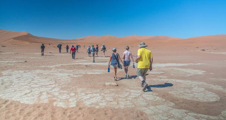 Grupo de personas caminando en un paisaje desértico con cielo despejado.