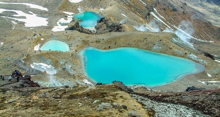 Northern Light from Auckland - Top rated by National Geographic - Flying Kiwi 6