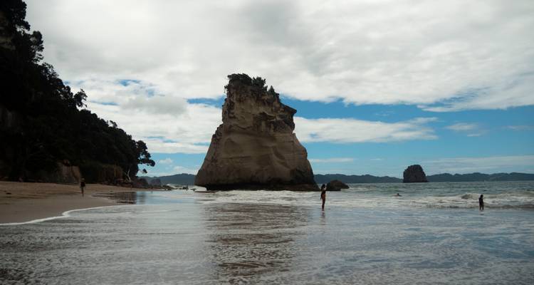 Northern Light from Auckland - Top rated by National Geographic - Flying Kiwi 3