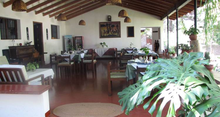 Kili Trek and Safari - Absolute Africa 4