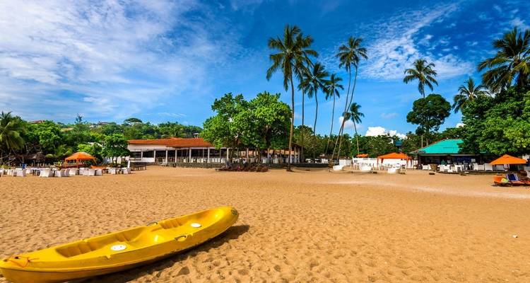 Sandy beach with palm trees and a yellow kayak