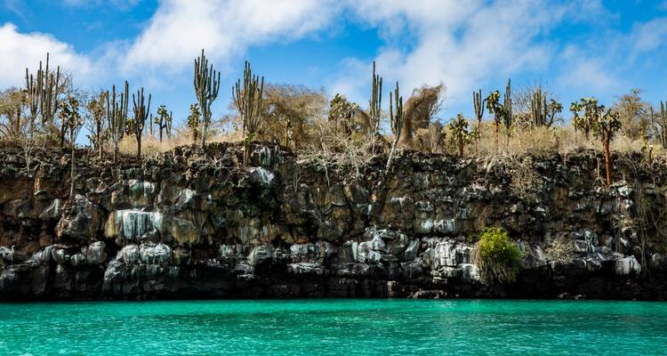 Aventure aux Galápagos : Plongée en apnée et lions de mer - G Adventures 7