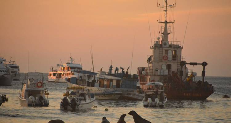 Aventure aux Galápagos : Plongée en apnée et lions de mer - G Adventures 1