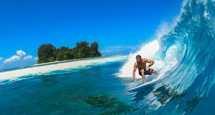 Un surfeur chevauche une vague tonneau d'un bleu turquoise éclatant avec une île tropicale luxuriante et du sable blanc en arrière-plan.