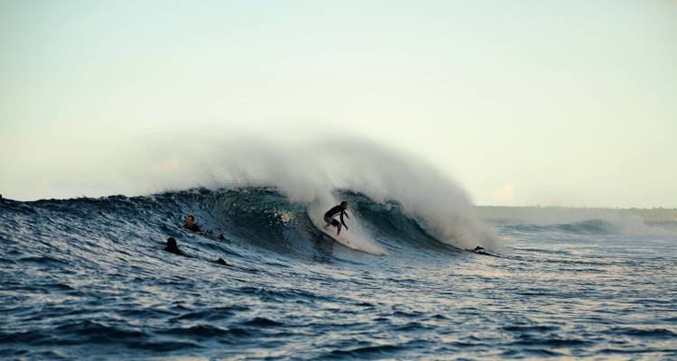 Plusieurs surfeurs en attente tandis que l'un d'eux chevauche une puissante vague du soir avec de la brume rétroéclairée par un faible ensoleillement.