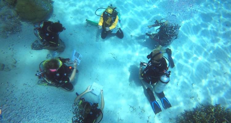 Eye On The Reef - Programme de conservation marine sur la Grande Barrière de Corail - No Limit Adventures 8