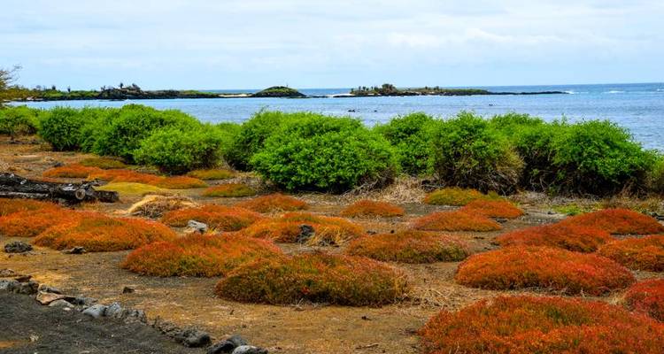 Aventure à la découverte des îles Galápagos 5J/4N - Bamba Travel 6