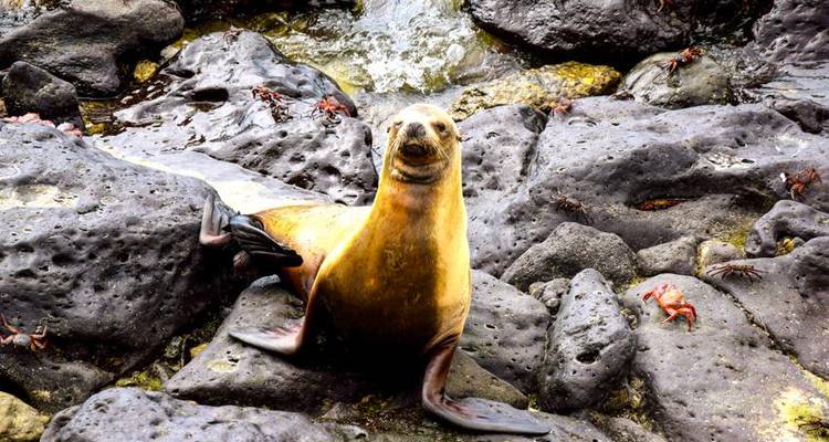 Aventure à la découverte des îles Galápagos 5J/4N - Bamba Travel 9