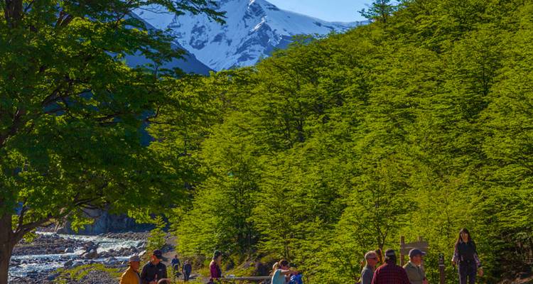 Les visiteurs se tiennent à côté d'une rivière tumultueuse au milieu d'une dense forêt verte avec des pics enneigés s'élevant à l'arrière-plan du parc Torres del Paine.