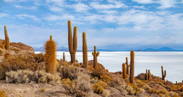 Aventure dans le désert et les salines d'Uyuni 4J/3N - d'Atacama à La Paz - Bamba Travel 2