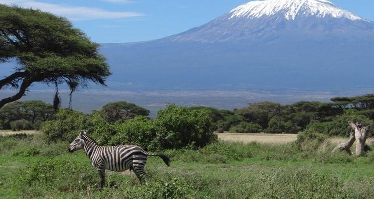 Safari Dream Adventure 6J/5N - Masai Mara, Amboseli et; Tsavo - Bamba Travel 9
