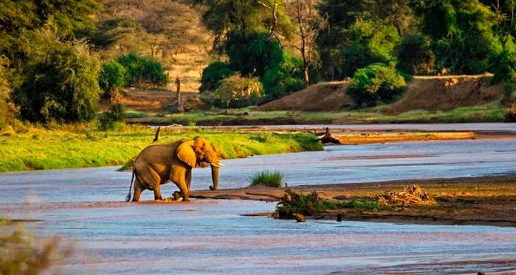 Safari Dream Adventure 6J/5N - Masai Mara, Amboseli et; Tsavo - Bamba Travel 3