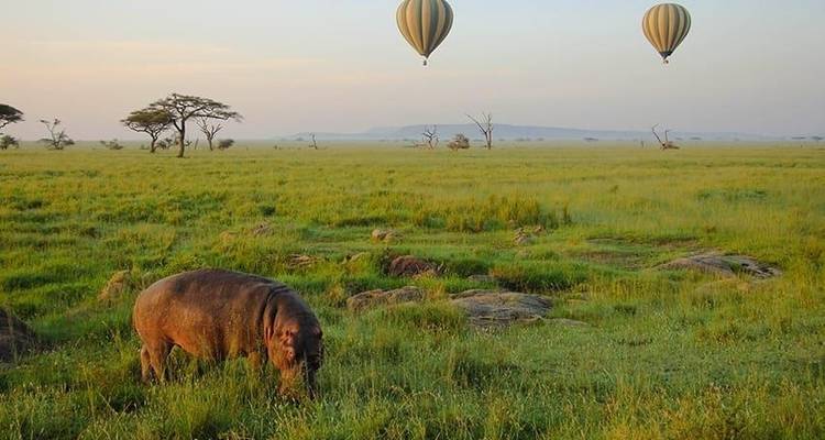 Highlights of Tanzania Safari 5D/4N (Tarangire, Serengeti & Ngorongoro) - Bamba Travel 1