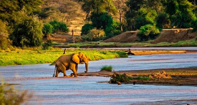 Safari lacs et montagnes 10J/9N - Masai Mara, Lac Nakuru et; Baringo, Samburu, Amboseli - Bamba Travel 6