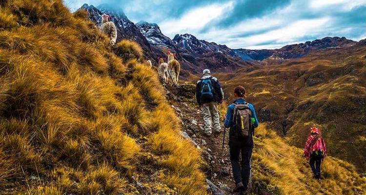 Excursionistas subiendo por un sendero de montaña con llamas.