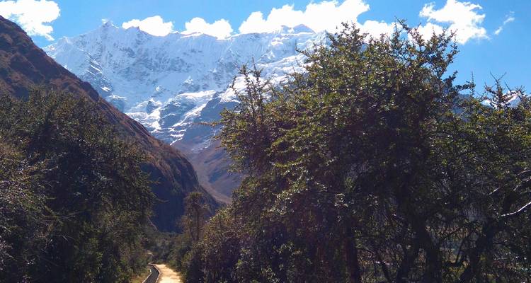 Sendero de montaña con picos nevados.
