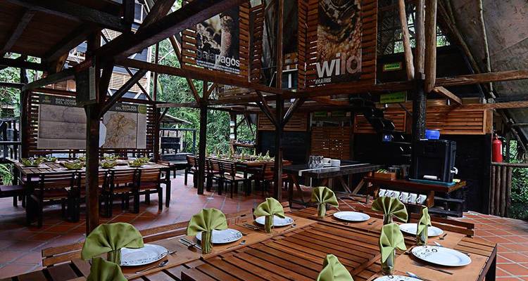 Aventure Cuyabeno Amazon Eco-Lodge en 5J/4N - Bamba Travel 2