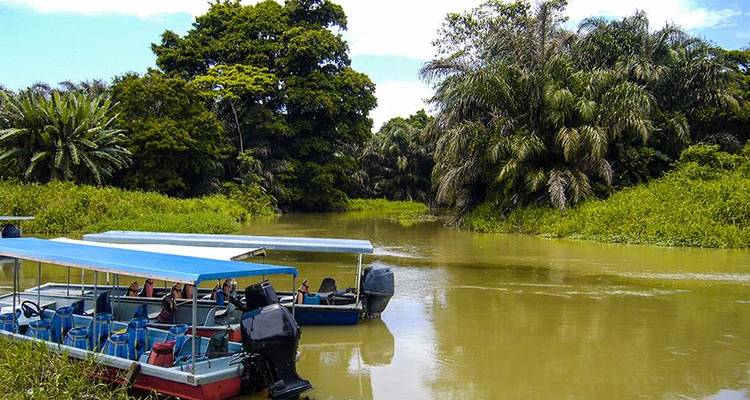 Aventure dans le parc national de Tortuguero 3D/2N - Bamba Travel 8