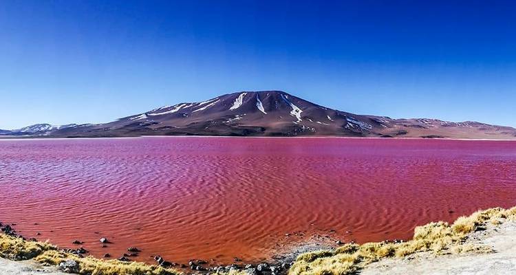 Aventure dans le désert et les salines d'Uyuni 4J/3N - d'Atacama à Atacama - Bamba Travel 7