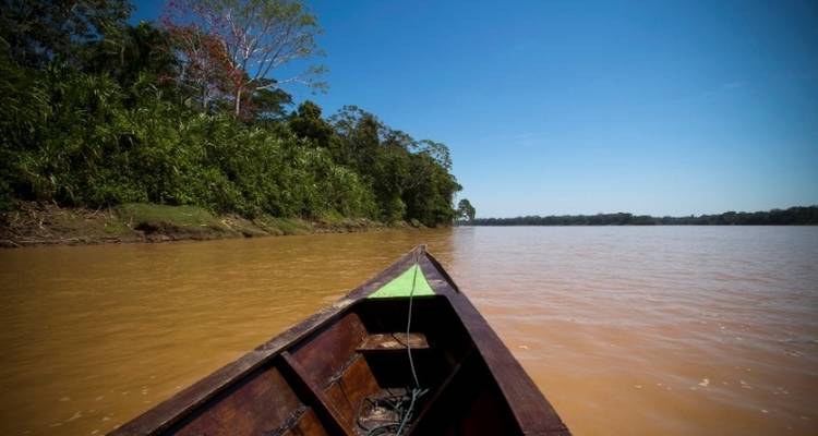Eco-alojamiento Amazónico de Puerto Maldonado 3D/2N - desde Puerto Maldonado - Bamba Travel 8