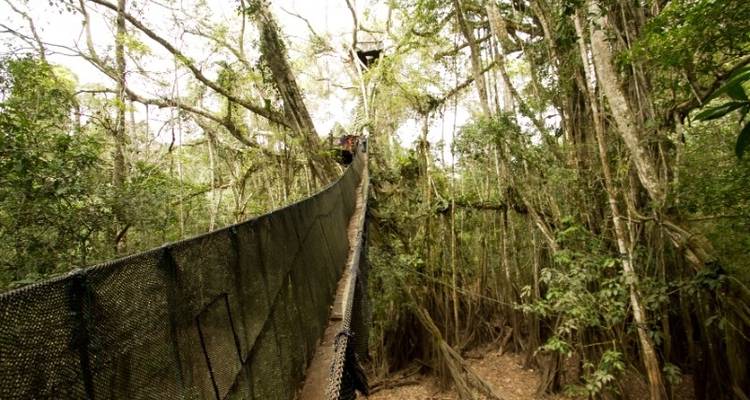 Eco-alojamiento Amazónico de Puerto Maldonado 3D/2N - desde Puerto Maldonado - Bamba Travel 7