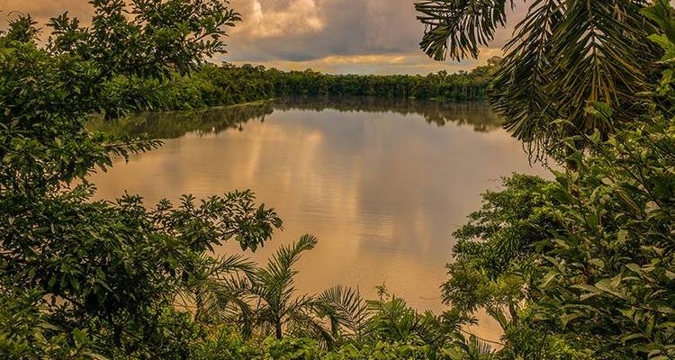 Puerto Maldonado Amazon Superior Lodge 3D/2N - de Puerto Maldonado - Bamba Travel 4