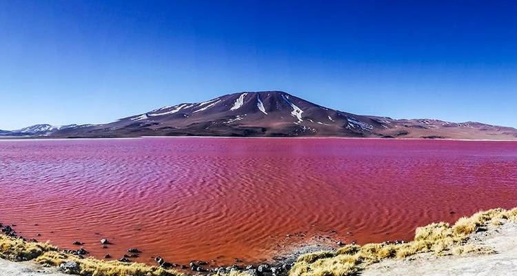 Salar de Uyuni y aventura en el desierto 3D/2N - Uyuni a Uyuni - Bamba Travel 4