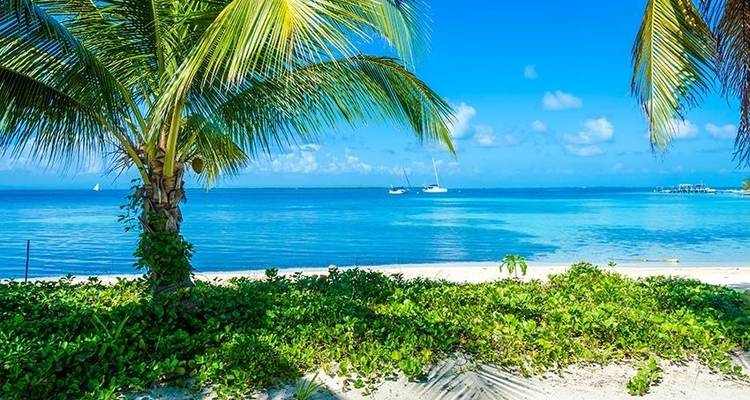 Pase de viaje de Cancún a Antigua - Bamba Travel 9