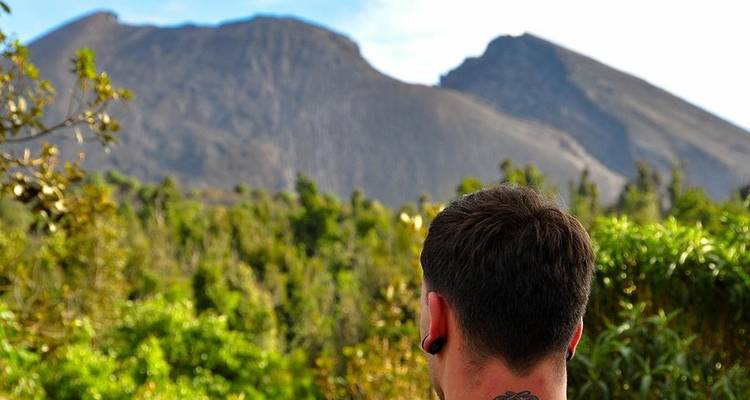 Persona con un tatuaje mirando una montaña.