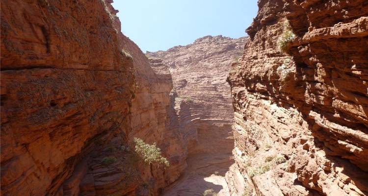 Les parois étroites d'un canyon de grès rouge s'élèvent abruptement vers un ciel bleu éclatant.