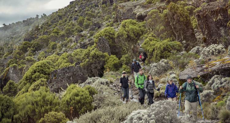 Kilimanjaro – Machame Route & Serengeti Adventure - G Adventures 10