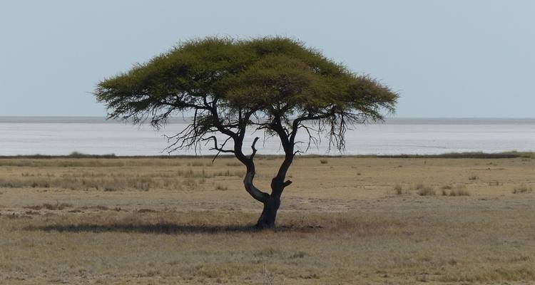 7 jours de Victoria Falls à Kruger - Camping - Acacia Adventure Holidays 9