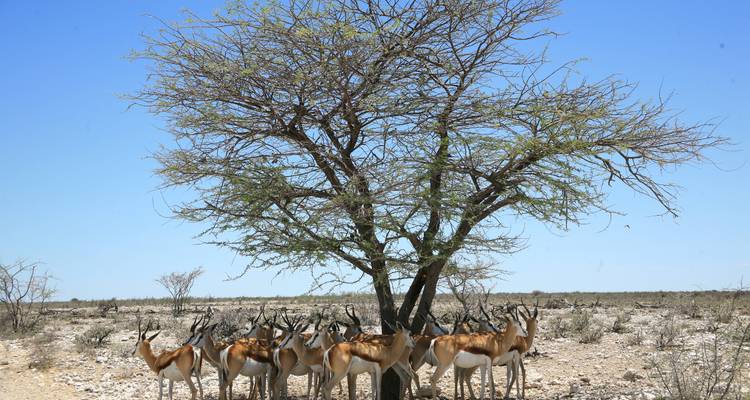 Cape Town to Namibia - Sunway Safaris 7