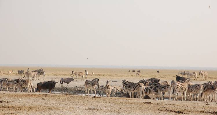Namibie : Des chutes Victoria à Windhoek - Sunway Safaris 4