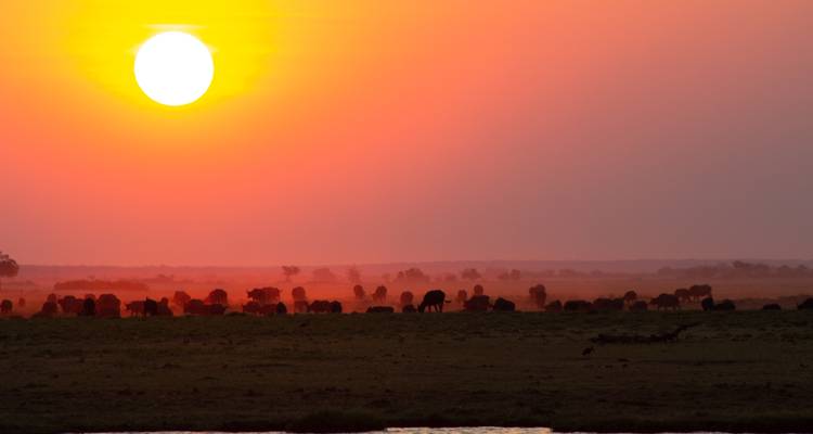 Namibie : Des chutes Victoria à Windhoek - Sunway Safaris 7