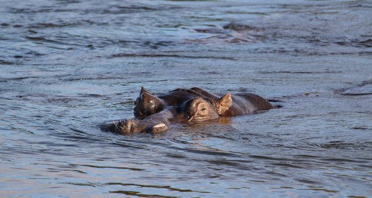 Namibie Botswana Désert et Delta - Sunway Safaris 8